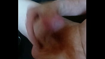 Domácí hoňka amatérského zrzka rád si protahuje svoje malé zrzavé péro