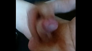 Domácí hoňka amatérského zrzka rád si protahuje svoje malé zrzavé péro