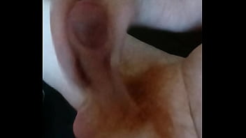 Domácí hoňka amatérského zrzka rád si protahuje svoje malé zrzavé péro