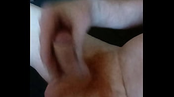 Domácí hoňka amatérského zrzka rád si protahuje svoje malé zrzavé péro