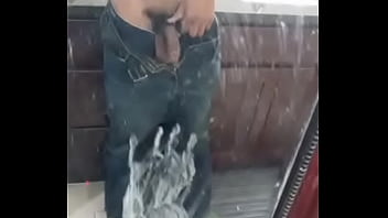 Cock thumbnail