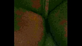 Video 20171209 210058