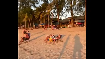 Лиса рулит бикини