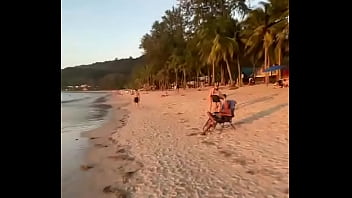 Лиса рулит бикини