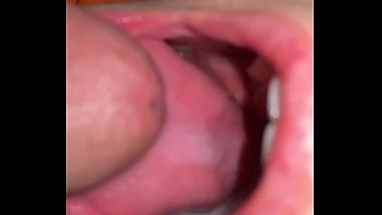 Native american swallow's