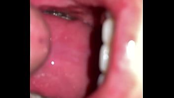 Native american swallow's