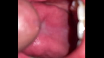 Native american swallow's