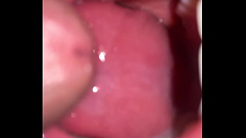 Native american swallow's