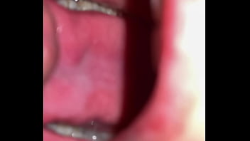 Native american swallow's