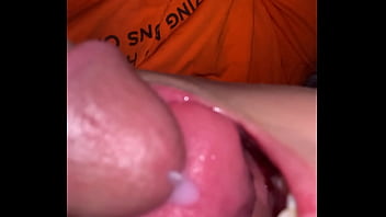 Native american swallow's