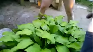 Couple pissing together on a plant