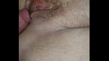 Pussy lips