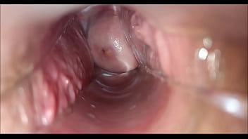 Inside pussy