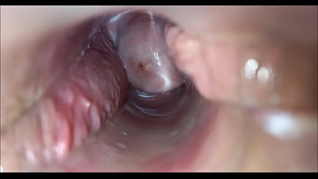 Inside pussy