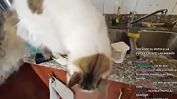 Cristianghost culeando