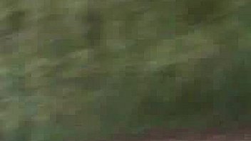 Sex party in the woods