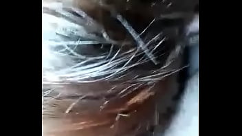 Sexy bitch sucks cock