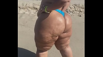 Megaculona latina severo culote