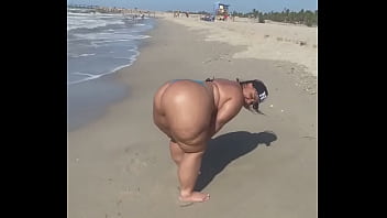 Megaculona latina severo culote