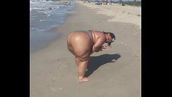 Megaculona latina severo culote