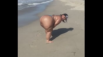 Megaculona latina severo culote