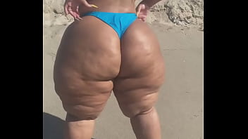 Megaculona latina severo culote