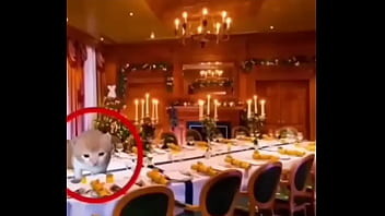 Puto Bastardo Que Se Llama Roberto thumbnail