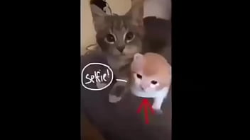 Puto bastardo que se llama roberto