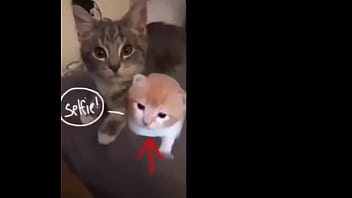 Puto bastardo que se llama roberto