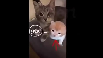 Puto bastardo que se llama roberto