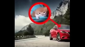 Puto bastardo que se llama roberto