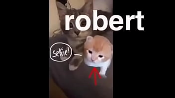 Puto bastardo que se llama roberto