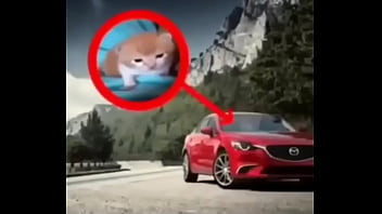 Puto bastardo que se llama roberto