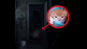 Puto bastardo que se llama roberto