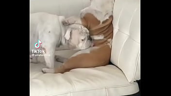 No creeras cuanto vale este nft No creeras cuanto vale este nft