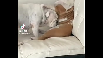 No creeras cuanto vale este nft