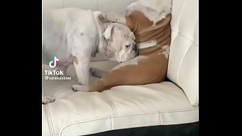 No creeras cuanto vale este nft