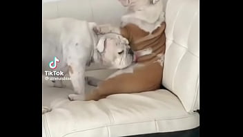 No creeras cuanto vale este nft