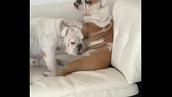 No creeras cuanto vale este nft