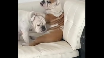 No creeras cuanto vale este nft