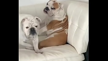 No creeras cuanto vale este nft