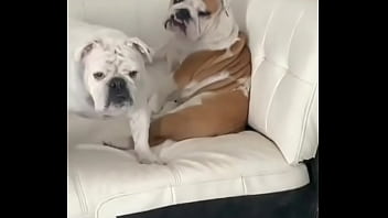 No creeras cuanto vale este nft