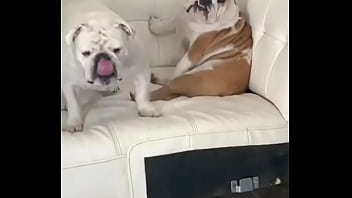 No creeras cuanto vale este nft No creeras cuanto vale este nft