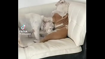 No creeras cuanto vale este nft