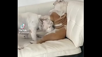 No creeras cuanto vale este nft