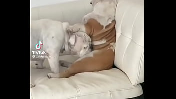 No creeras cuanto vale este nft