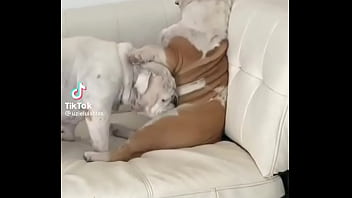 No creeras cuanto vale este nft