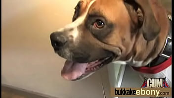 Hard group blowjob and facial interracial bukkake 24