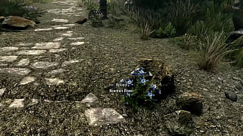 3d animation physics