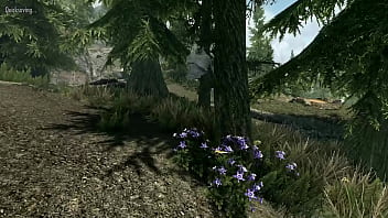 3d animation physics